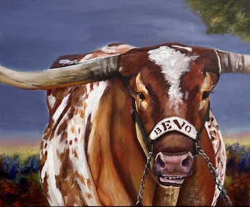 Bevo - (c)2026 Lauren Parish Art